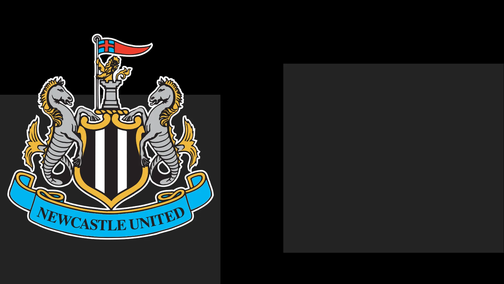 Newcastle's boss Hails Team's Determination – However That Only Carries Them To a Point